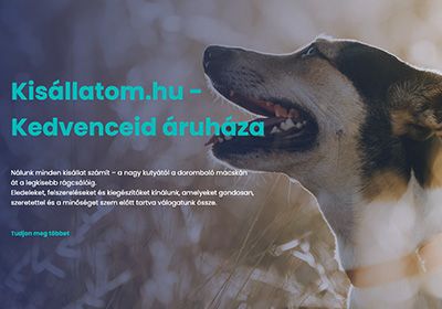 Kisállatom.hu – Felhasználóbarát és tartalomközpontú webáruház fejlesztés