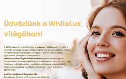 WhiteLux – Elegáns és prémium megjelenésű webáruház fejlesztés